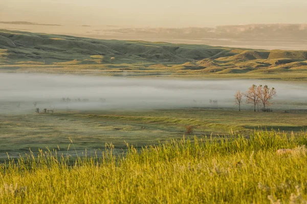 Sunrise Fog Valleys Grasslands National Park Saskatchewan Canada — Stock Photo, Image