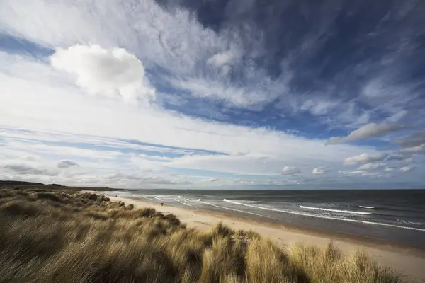 Grama Soprando Vento Areia Longo Borda Água Bamburgh Northumberland Inglaterra — Fotografia de Stock