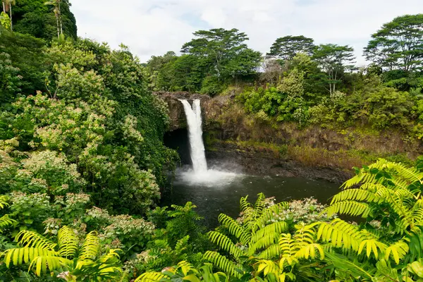 Rainbow Falls Hilo Island Hawaii Hawaii United States America — Stock Photo, Image
