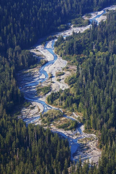 Hoh River Washington Estados Unidos América —  Fotos de Stock