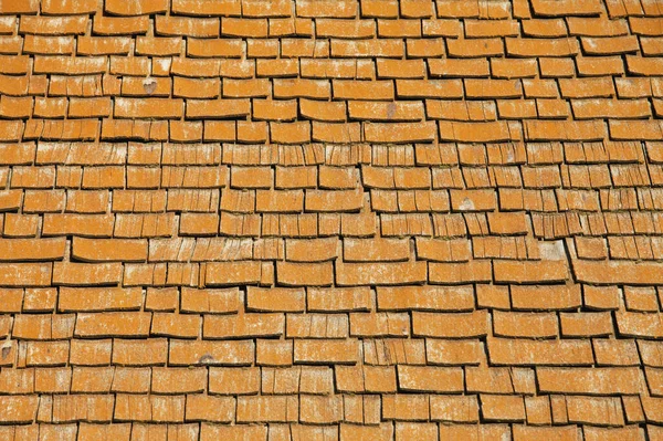 Old Barn Roof Made Shakes Albert Alberta Canada — Stockfoto