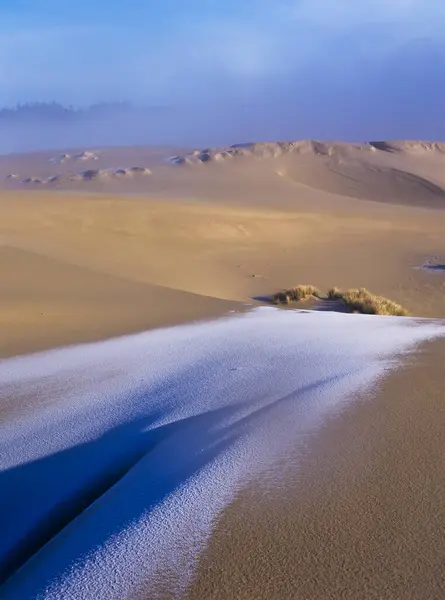 Frost Sand Dunes Florencja Oregon Stany Zjednoczone Ameryki — Zdjęcie stockowe