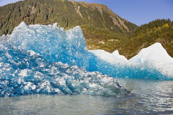 メンデンホール湖に浮かぶメンデンホール氷河を砕き 水中から青い研磨氷を反転させ露出させる アメリカ合衆国アラスカ州ジュノー — ストック写真