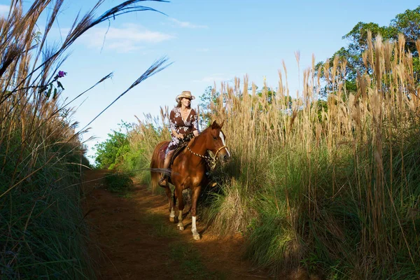Woman Riding Her Horse Trail Hawaii United States America — Stock Photo, Image
