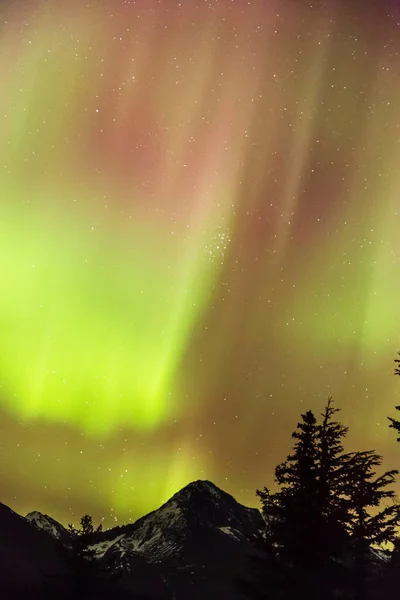 Northern Lights Sky Moose Pass Silhouetted Kenai Mountains Trees Foreground — Foto de Stock