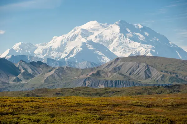 Changing Colors Fireweed Plants Fall Denali National Park Interior Alaska — Stock Photo, Image