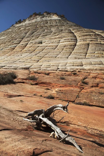 Zion Dağı Ndan Dama Tahtası Mesa Carmel Otoyolu Zion Ulusal — Stok fotoğraf