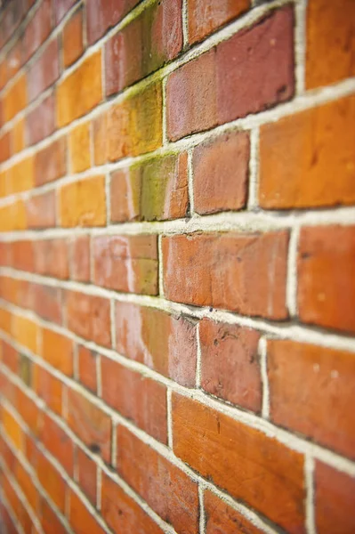 Brick Wall Bricks Yellow Green Hues London England — Stock Photo, Image