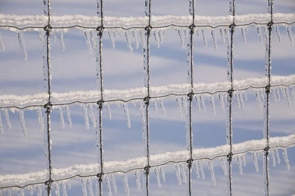 Сосульки Заборе После Шторма Рейн Западный Болтон Квебек Канада — стоковое фото