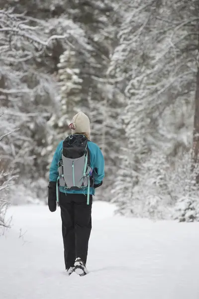在雪地中远足的妇女 加拿大艾伯塔省班夫 — 图库照片