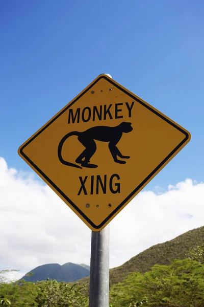 Monkey Crossing Sign Nesbit Beach Nevis — Stock fotografie
