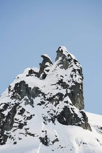Snow Capped Mountain Peak Blue Sky Haines Alaska Amerika Serikat — Stok Foto