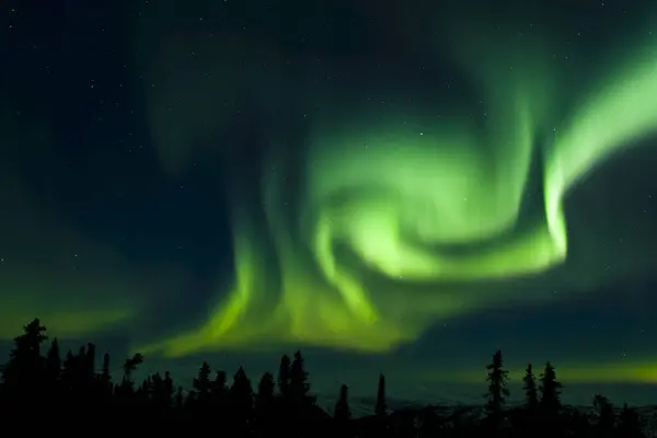 Bright Neon Green Aurora Swirling Boreal Forest Chena River State — Stock Photo, Image