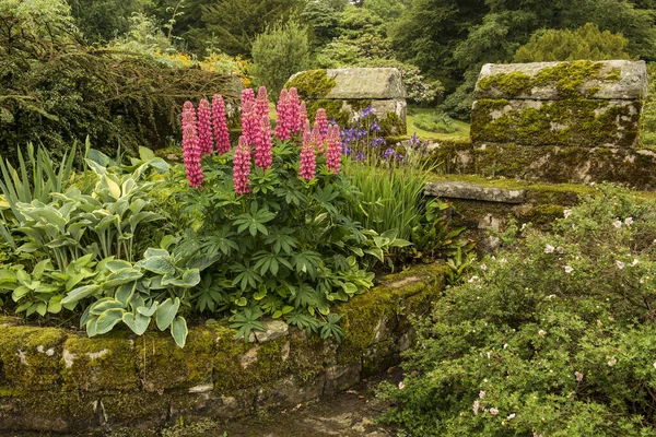Englische Landblumen Blumenbeet Neben Einer Kastanienmauer Der Nähe Von Powburn — Stockfoto