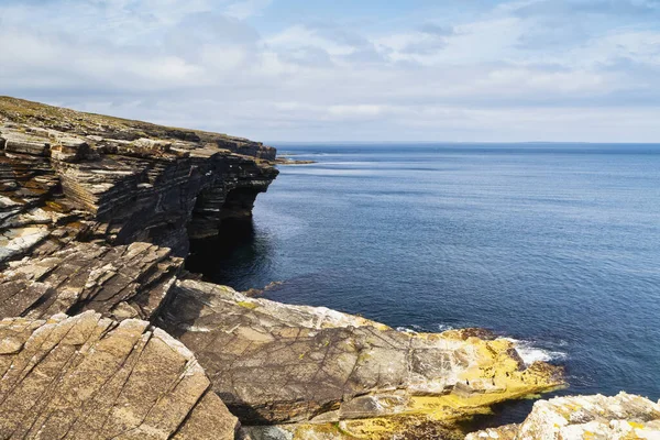 Mull Head Doğa Koruma Alanı Orkney Skoçya — Stok fotoğraf