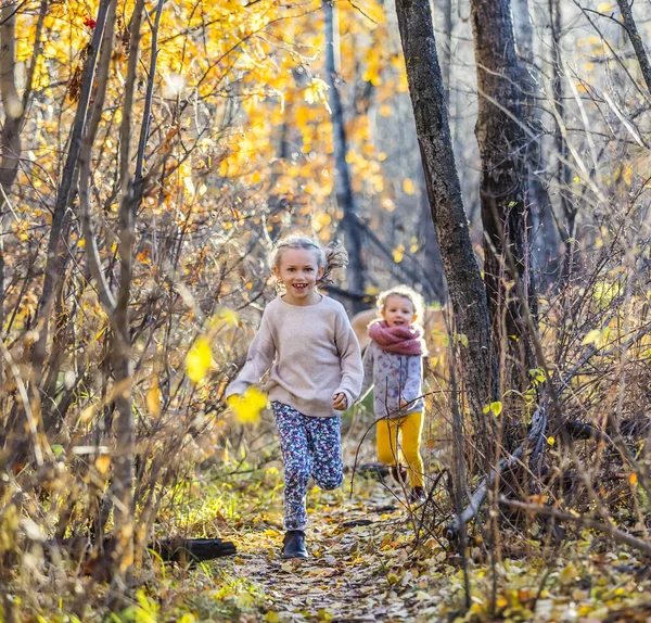 Zwei Kleine Mädchen Die Schwestern Sind Laufen Einem Warmen Herbstabend — Stockfoto