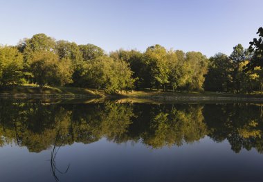Orman göl güneşli yaz gün.