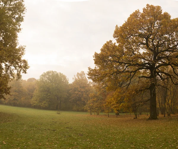 Tranquillo paesaggio autunnale . — Foto Stock