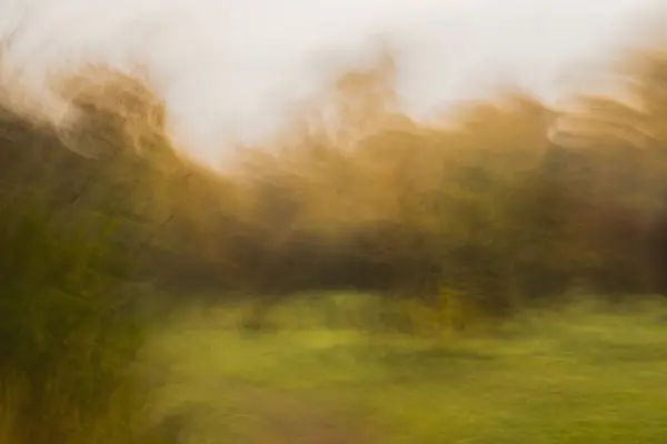 Höstens fantasi. — Stockfoto