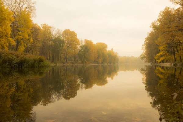 Jezero v lese na podzim. — Stock fotografie