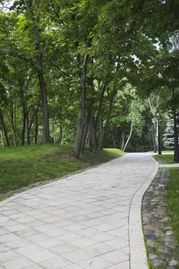 Parktaki yol.