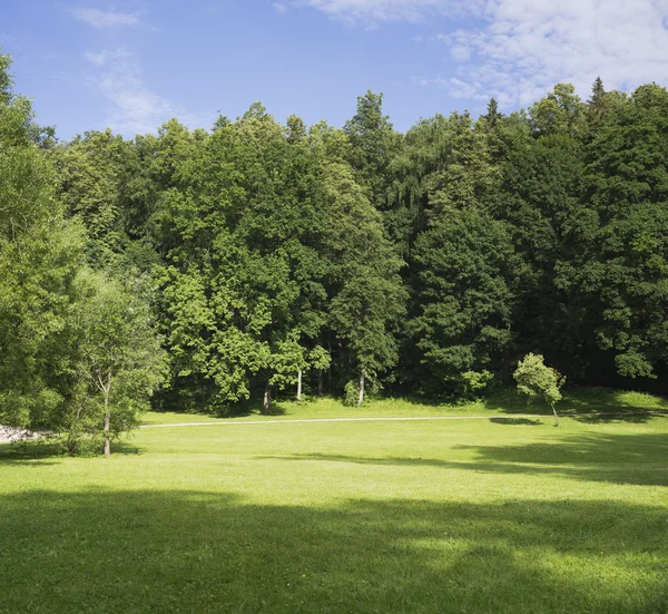 Morning in a summer garden. — Stock Photo, Image