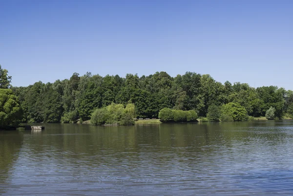 O lago em um jardim de verão de manhã . — Fotografia de Stock