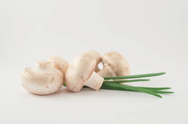 Raw mushrooms and onion leaves — Stock Photo, Image
