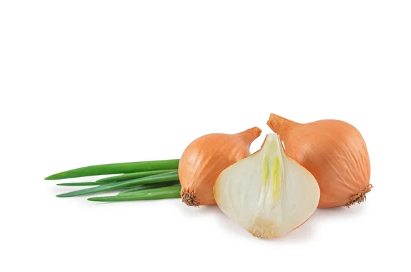 Heads and leaves of onions — Stock Photo, Image