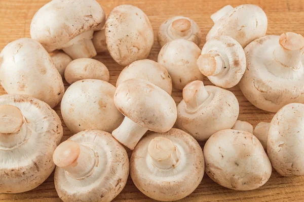 Raw mushrooms closeup — Stock Photo, Image