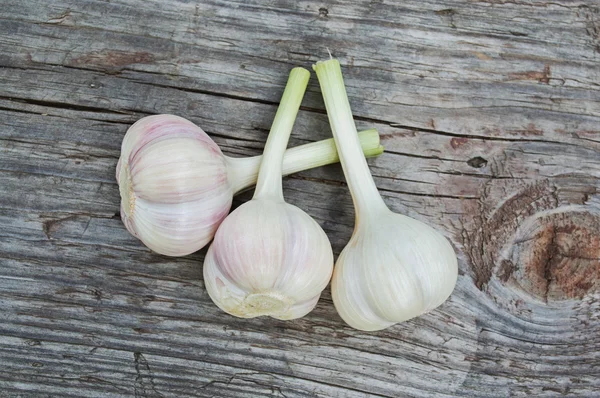 Fresh garlic close-up — Stock Photo, Image