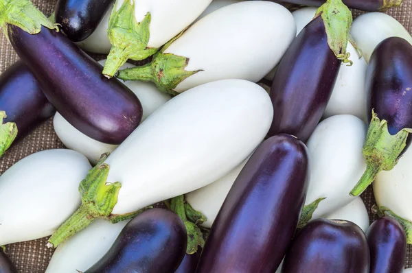 Rijp aubergines — Stockfoto