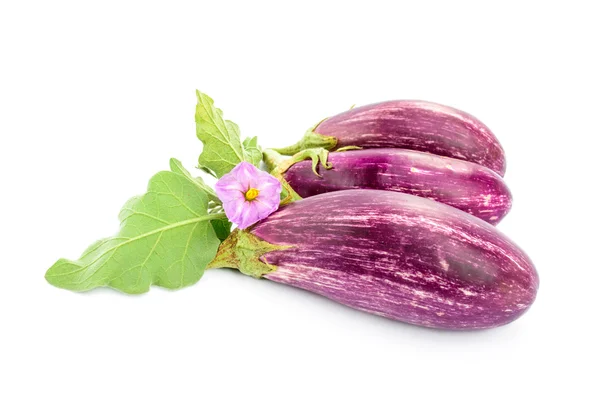 Three eggplants isolated on the white background — Stock Photo, Image