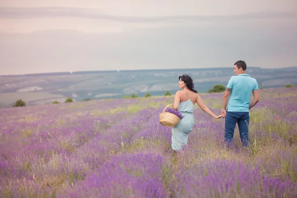 Casal no campo de lavanda — Fotografia de Stock