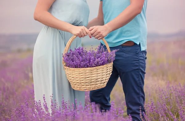 Flores de lavanda de flor — Fotografia de Stock