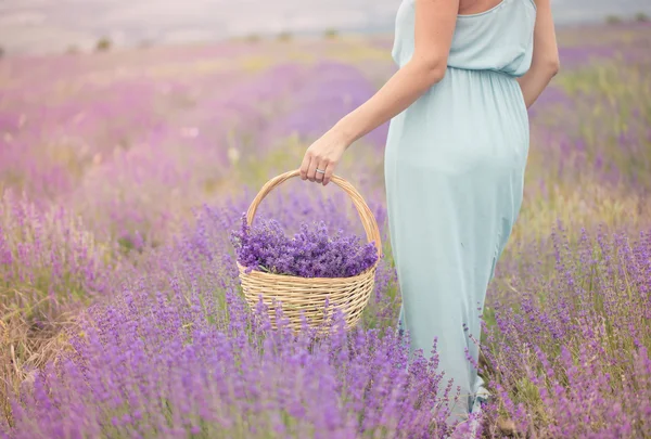 Meisje in het Lavendel veld — Stockfoto