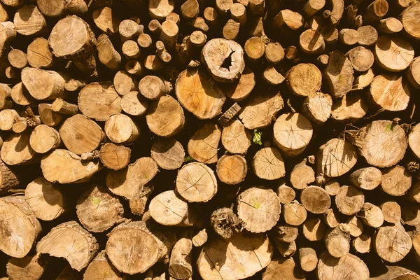 Купа дерев'яних колод, готових до зими — стокове фото