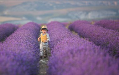 Büyük bir lavanta tarlasında çiçeklerin arasında ekose gömlekli ve hasır şapkalı bir çocuk. Provence 'ın manzarası. Aromaterapi ve sağlık hizmetleri