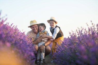 Hasır şapkalar ve ekose gömlekler giyen şık giyimli çocuklar. Babam ve oğulları yürüyor. Kocaman bir lavanta tarlası. Aile yürüyüşe çıktı.