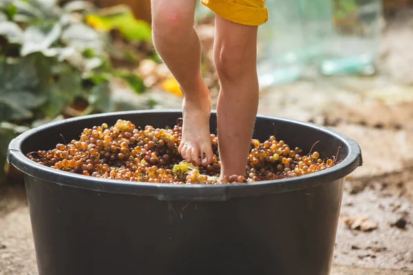 Little Boy Crush Grapes His Feet Child Bright Yellow Shorts — Stock Photo, Image