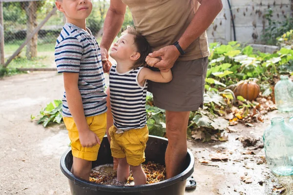 Twee Kleine Jongens Pletten Druiven Met Hun Voeten Kinderen Felgele Stockfoto