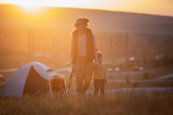 Familia Mascota Están Caminando Sobre Hierba Campamento Las Montañas Cría — Foto de Stock