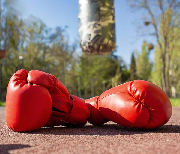 Pair Boxing Gloves Lying Ground Outdoor Workouts — Stock Photo, Image