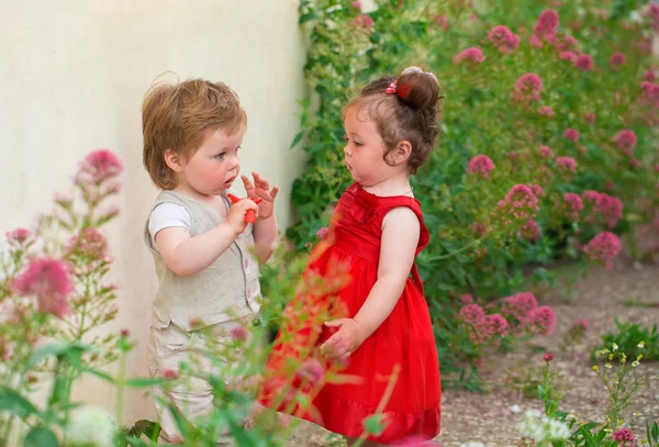 Дети играют в саду — стоковое фото