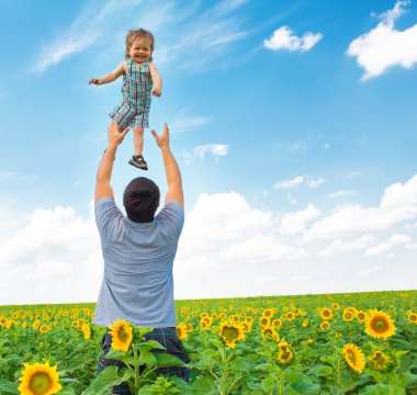 Baba ile oğlu ayçiçeği sahada