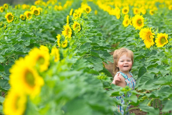 Little boy playing on the sunflower field — Stock Photo, Image