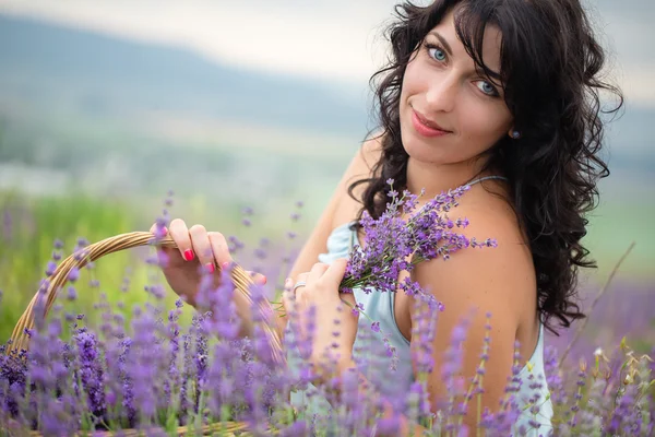 Mujer joven cosechando flores de lavanda —  Fotos de Stock