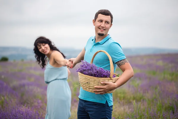 Jeune couple récolte des fleurs de lavande — Photo