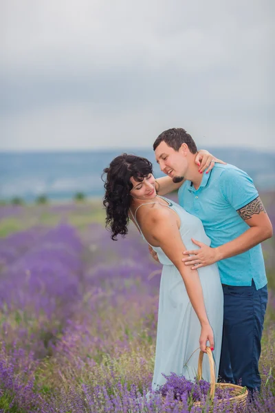 Casal jovem colhendo flores de lavanda — Fotografia de Stock