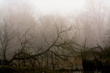 Kış sis Macaristan